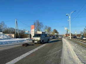 Я до сих пор отойти не могу водитель микроавтобуса который после удара грузовика насмерть сбил женщину рассказал об аварии