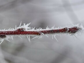 В Приамурье ударит 40градусный мороз прогноз погоды на 19 декабря