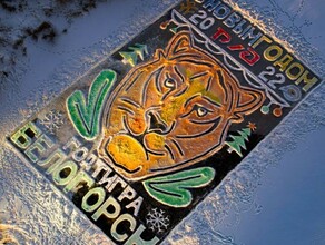 В Амурской области появился огромный ледовый портрет амурского тигра