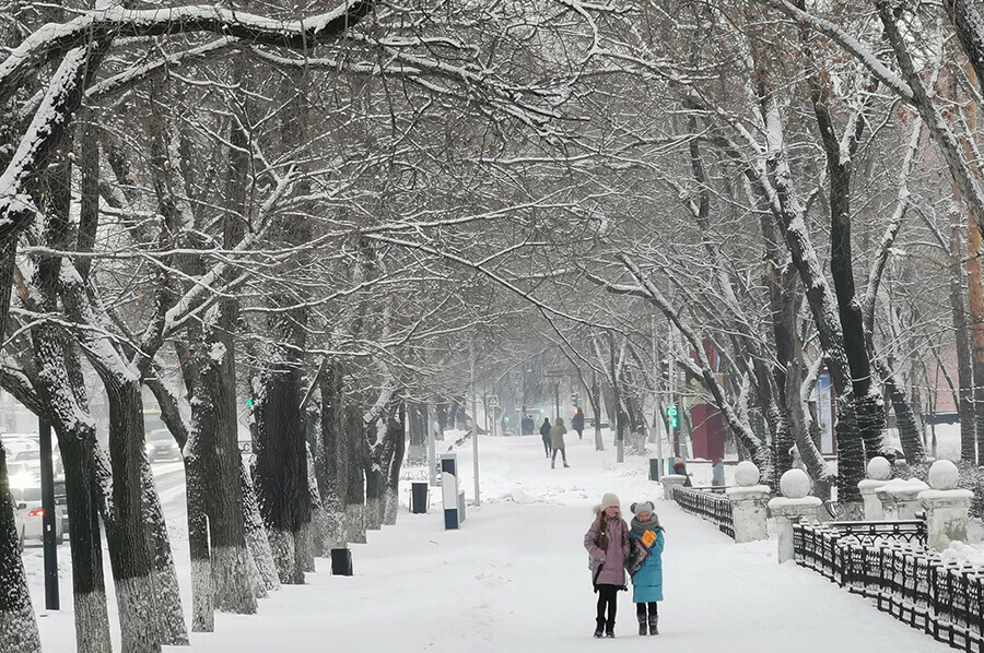 Морозно и без осадков прогноз погоды в Амурской области на 24 декабря