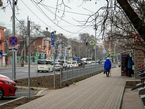 В Благовещенске леерные ограждения вдоль дорог заменят на зеленые изгороди