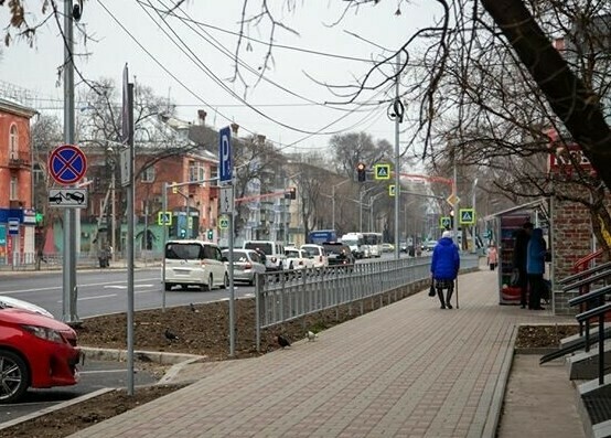 В Благовещенске леерные ограждения вдоль дорог заменят на зеленые изгороди