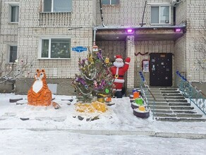 В Благовещенске крупные награды выиграли три двора украшенные жителями к Новому году фото