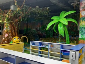 Власти детские игровые комнаты и центры в Амурской области планируют открывать поэтапно но не скоро