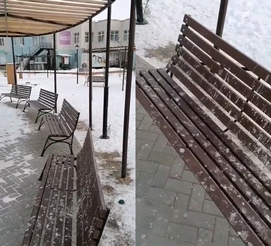 В Благовещенске голуби приняли дизайнерские перголы за насест видео