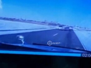 В Амурской области лобовое столкновение на трассе устроил фазан версия участника ДТП под Волково видео