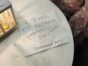 Благовещенские похитители в масках Сальвадора Дали необычно вернули новогодние украшения