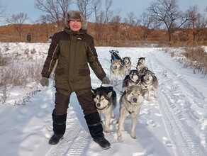 Неудачей закончилась первая гонка на собаках в Хабаровском крае Участники из Амурской области снялись с соревнований