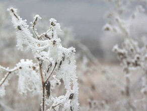 Потепление или морозы Амурские синоптики рассказали о погоде на предстоящую неделю