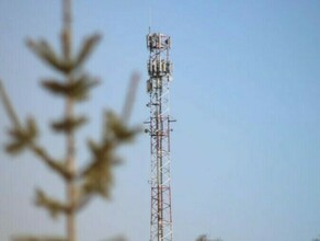 В Амурской области в 2022 году запланирован запуск 4G МТС в 27 населенных пунктах 