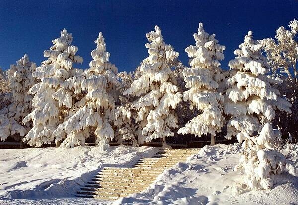 Небольшой снег до минус 38 Прогноз погоды в Приамурье на 17 января