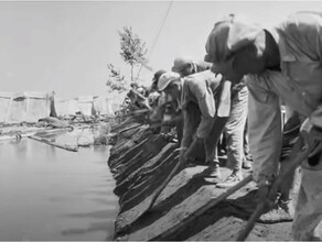Фильм о наводнении в Амурской области в 1958 году набрал за сутки 60 тысяч просмотров