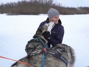 Самое милое на сегодня как в Благовещенске проходят тренировки с ездовыми собаками видео