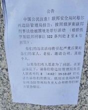 Благовещенцев озадачили листовки на китайском языке расклеенные на городской набережной