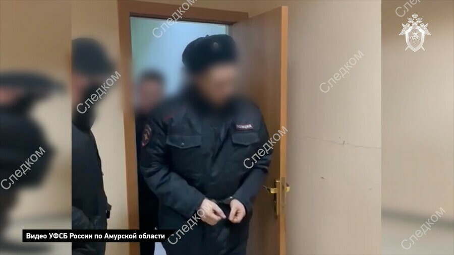 Выдали права без экзаменов в Приамурье за получение взятки и мошенничество задержан инспектор ДПС и его начальник