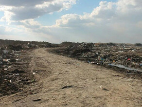 Больше сотни несанкционированных свалок обнаружили в Амурской области  