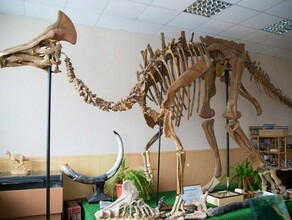 Виртуальные динозавры Албазино в дополненной реальности в Амурском краеведческом музее состоится научная конференция