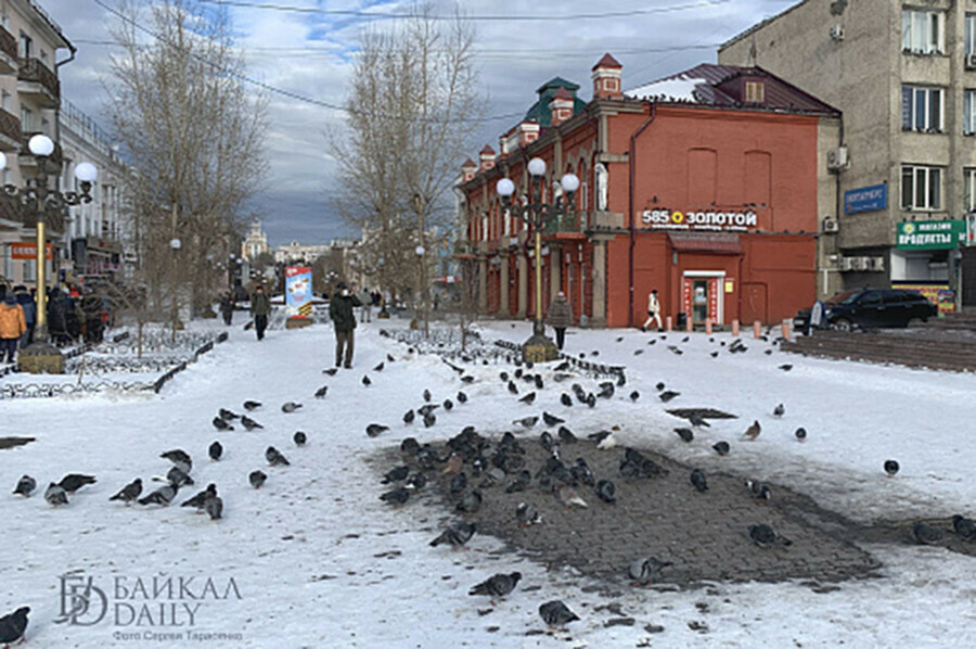 В Бурятии все учебные заведения перешли на дистанционку изза резкого ухудшения ситуации с коронавирусом