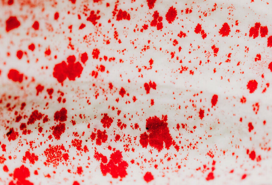Отмыла жилье от крови убитого жительница Свободного скрыла особо тяжкое преступление
