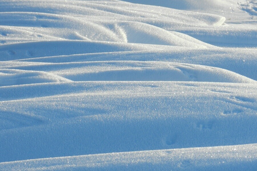 В январе больше всего снега досталось Благовещенску Чем еще отметился уходящий месяц