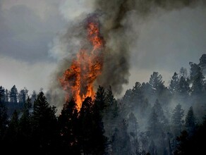 Увеличен штат десантниковпожарных в Приамурье началась подготовка к пожароопасному сезону