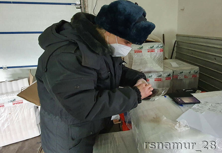 Цветы ягоды овощи зелень грибы что в январе привезли в Приамурье из других стран