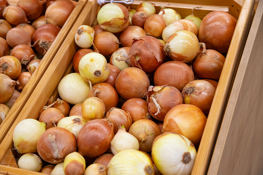 Золотая луковица О борщевом наборе росте цен и доступных овощах в Благовещенске