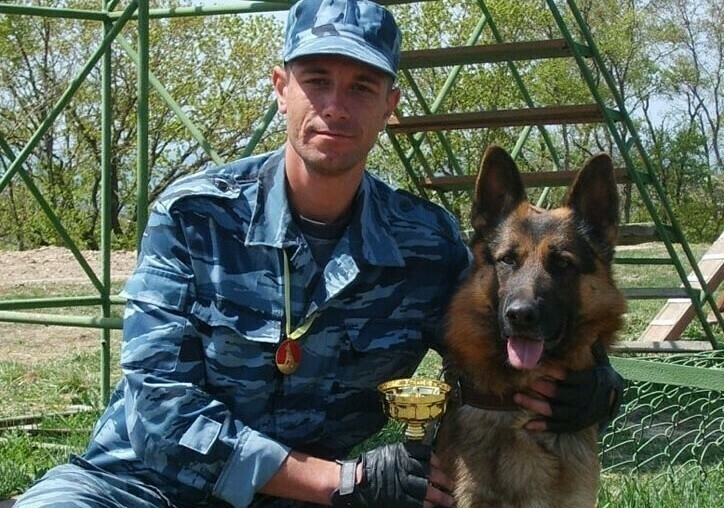 О нападениях бездомных собак догхантерах и законах мнение кинолога и зоопсихолога Алексея Пискунова  