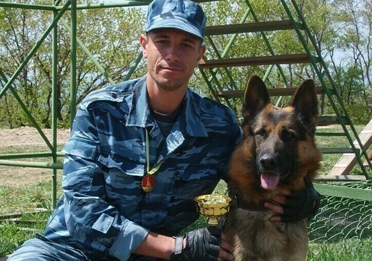 О нападениях бездомных собак догхантерах и законах мнение кинолога и зоопсихолога Алексея Пискунова  