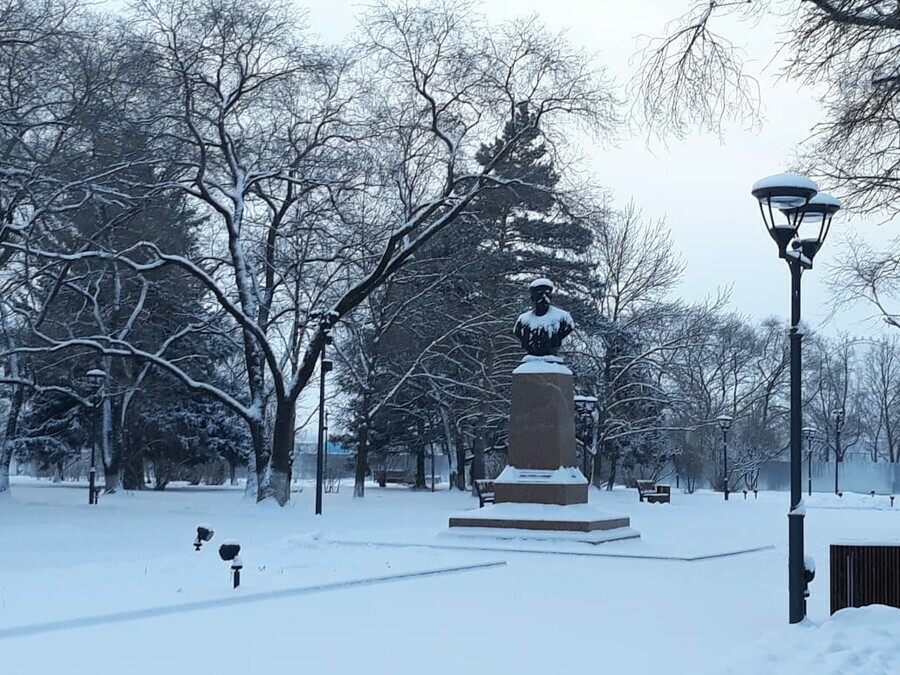 В Амурской области пойдет снег прогноз погоды на 9 февраля