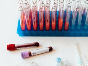 С 21 февраля QRкод можно будет получить по результатам теста на антитела
