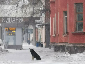 Умеренный ветер местами снег прогноз погоды в Амурской области на 10 февраля