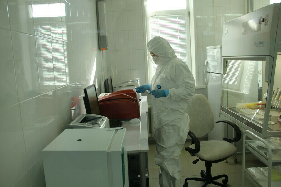 В Амурской области построят новую лабораторию для исследований COVID19 Как сейчас определяют штаммы