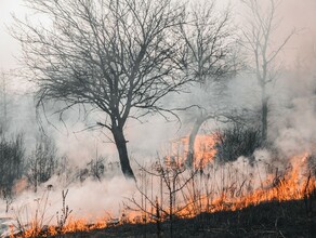 Четыре ребенка и двое взрослых погибли в пожаре 