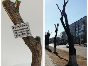 Изуродованные деревья на улицах Благовещенска вдохновили известного художника 