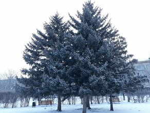 В Амурской области ясно прогноз погоды на 17 февраля