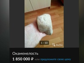 Благовещенец продает окаменелость за 18 миллиона рублей
