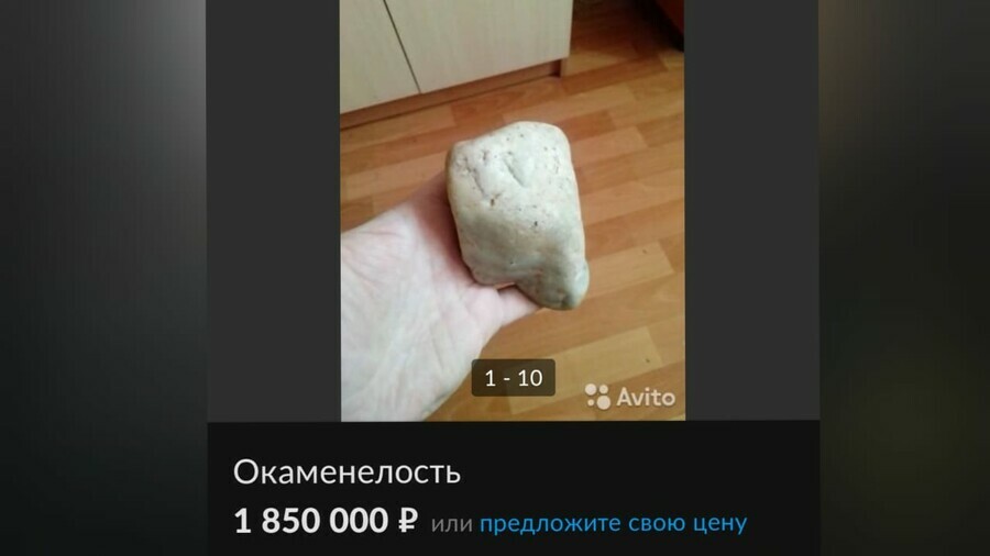 Благовещенец продает окаменелость за 18 миллиона рублей