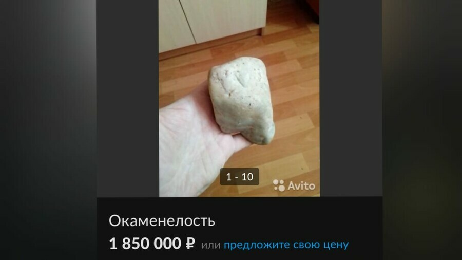 Благовещенец продает окаменелость за 18 миллиона рублей