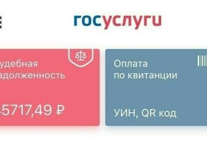 У жительницы Благовещенска приставы снялитаки 45 тысяч за должника из Ивановской области