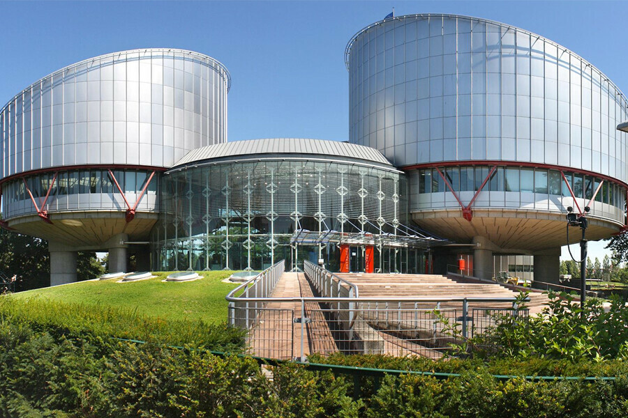 Мама больного ребенка из Серышева выиграла дело в Европейском суде по правам человека