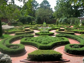 В центре Благовещенска появится сад во французском стиле фото