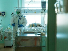 В Приамурье для больных COVID19 попрежнему работают 8 инфекционных и 7 провизорных госпиталей