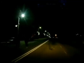 Чуть не случилась трагедия В Приамурье дети перебегали дорогу перед движущимся авто видео