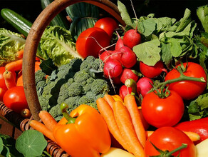 Девять стран возобновят поставки овощей в Россию 