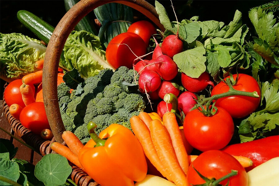 Девять стран возобновят поставки овощей в Россию 