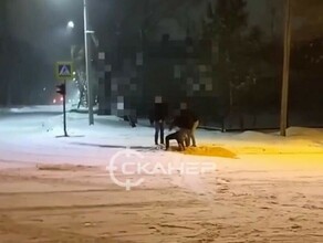 В Благовещенске на дороге нашли мужчину видео