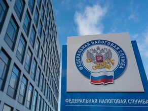ФНС России с 9 марта приостанавливает процедуру подачи на банкротство