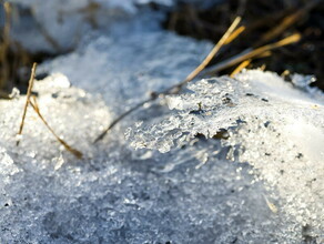 Температуры близкие к экстремальным значениям В ближайшие дни в Приамурье серьезно потеплеет 
