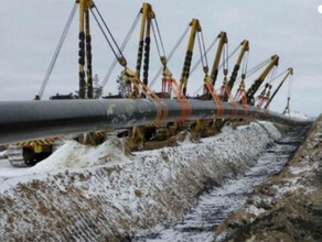РАСПП китайским компаниям предлагают доли в Газпроме и Русале